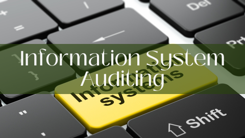 Information System Auditing Thumbnail